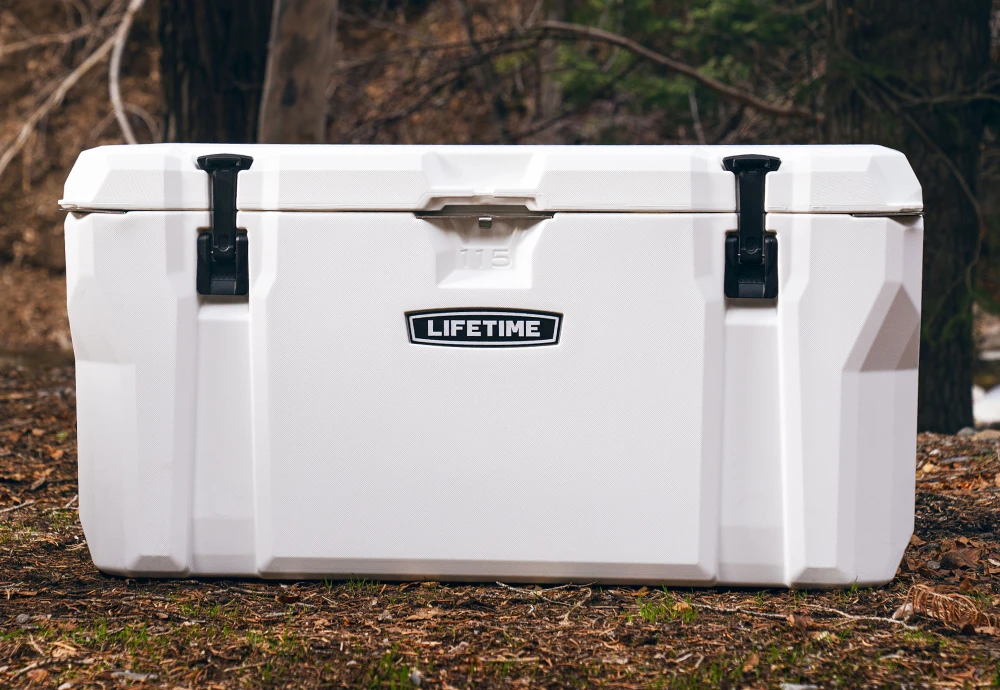 portable ice cream cooler box